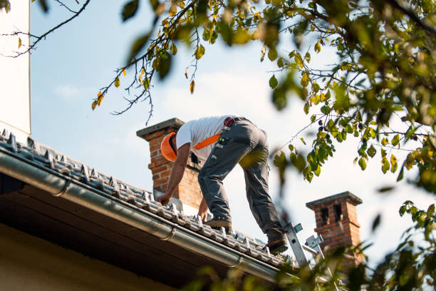 Roof Coating Services in Monticello, IN