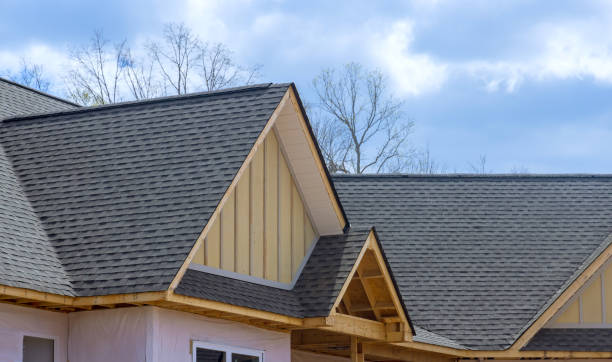 Best Roof Moss and Algae Removal  in Monticello, IN